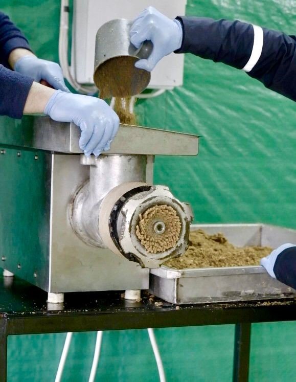 Giresun Belediyesi Şehirdeki Yemek Atıklarını Sokak Hayvanları İçin Mamaya Dönüştürüyor