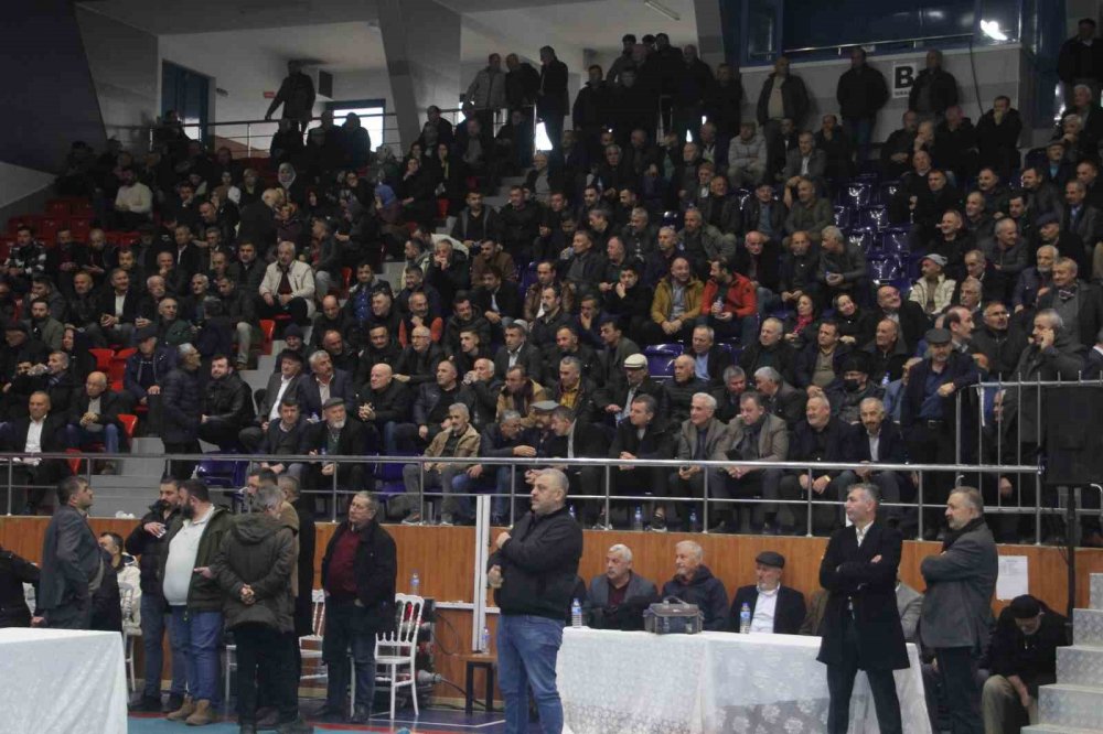 Çifçi, Güven Tazeledi
