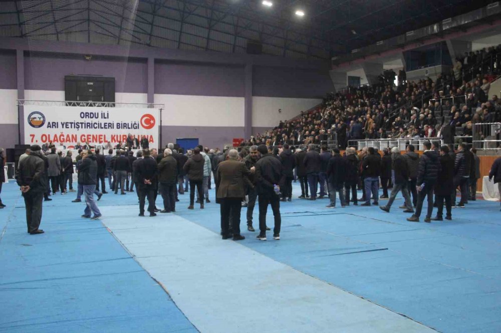 Çifçi, Güven Tazeledi