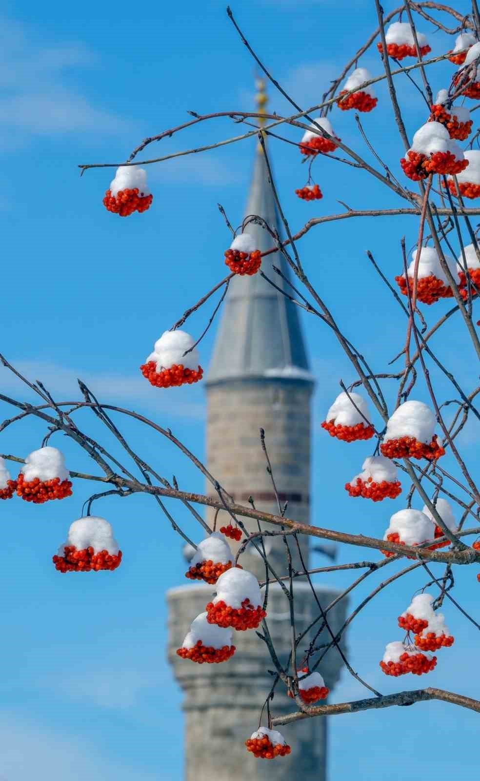 Erzurum'da Soğuk Hava Etkisini Sürdürüyor: Termometreler -34,1 Dereceyi Gördü