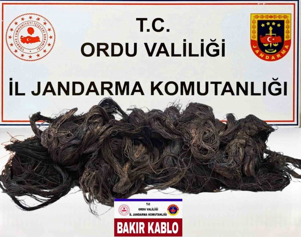 Kablo Hırsızları Jandarma Ekiplerince Yakalandı: 3 Tutuklu