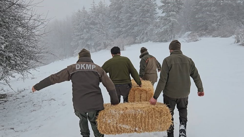 Kastamonu’da Yaban Hayvanları İçin Doğaya Yem Bırakıldı