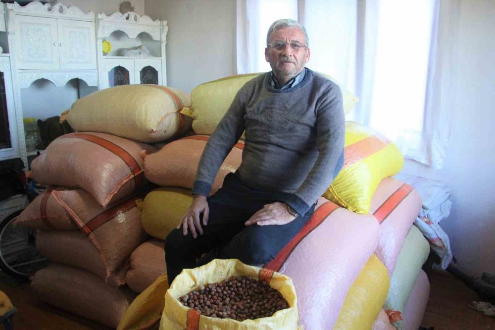 Türkiye Fındığının Yüzde 15’i Üreticinin Evinde