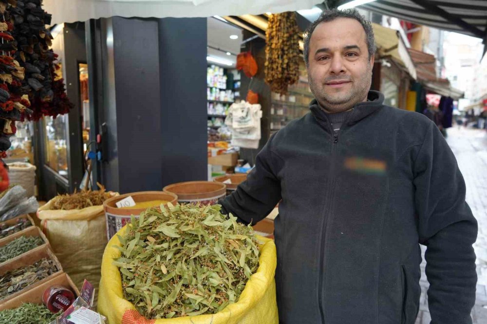 Ihlamur Altınla Yarışınca İlgi, Kış Çaylarına Kaydı