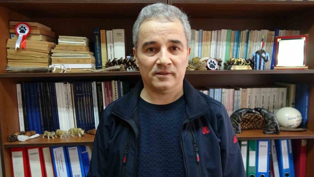 Prof. Dr. Şağdan Başkaya: "tüm Dünyada Çakal Popülasyonu Artış Eğiliminde"