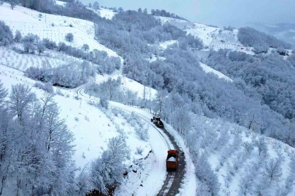 Samsun’un 17 İlçesinde Karla Mücadele