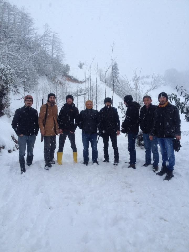 Rize'de kışlık ahırından kaçan boğa yazlığında bulundu