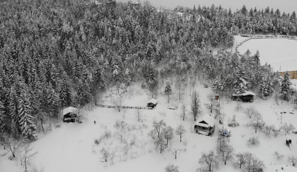 Artvin’de Zorlu Kış Şartlarında Boğa Bakımı Güçleşiyor