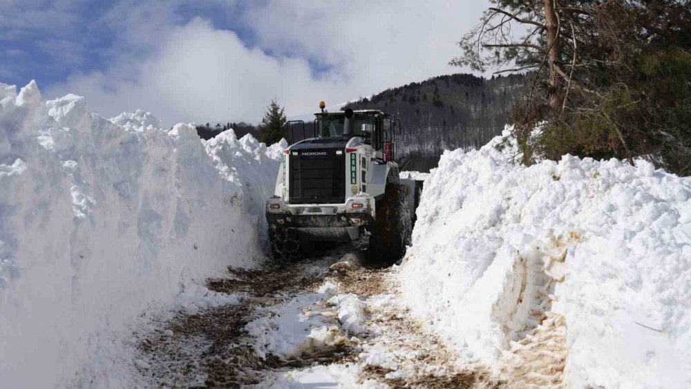 Artvin’de Kar Yağışı Durdu, Köylerde Yol Açma Çalışmaları Sürüyor