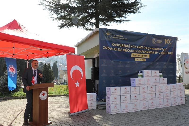 Hava Sıcaklıkların Artması İle Kahverengi Kokarcalar Yeniden Kendini Göstermeye Başladı