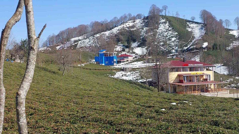 Yaparsa Rizeli yapar , Bu mantolama literatüre girer