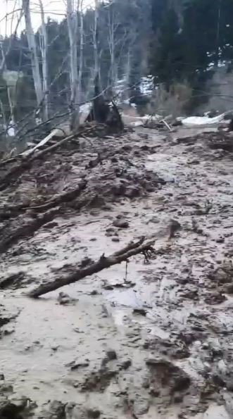 Artvin’de Heyelan Ormanı Yerle Bir Etti, Köy Yolunu Ulaşıma Kapattı