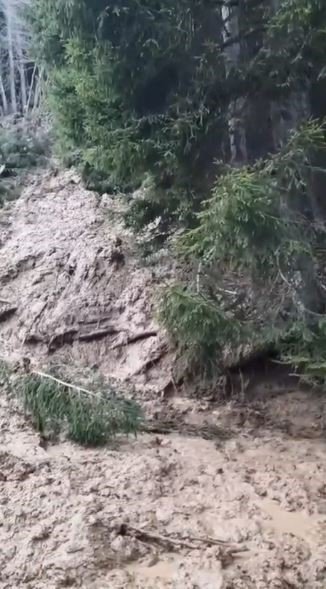 Artvin’de Heyelan Ormanı Yerle Bir Etti, Köy Yolunu Ulaşıma Kapattı