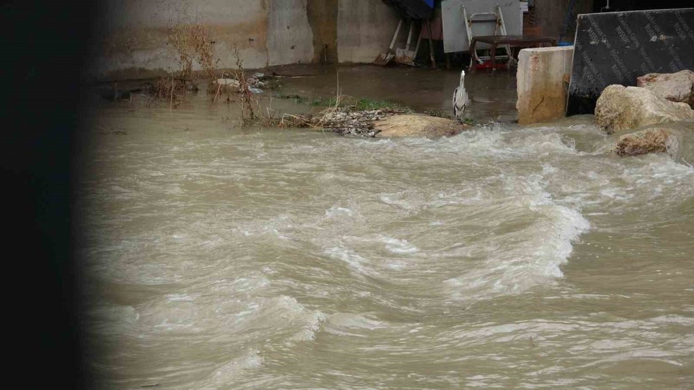 Türkiye’nin En Hızlı Akan Çoruh Nehri’nin Su Seviyesi Karların Erimesiyle 2 Katına Çıktı