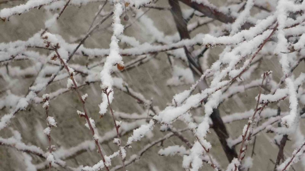 Beklenen Nisan Karı Geldi: Bayburt’a Lapa Lapa Kar Yağdı