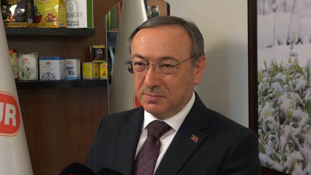 Doğu Karadeniz’de 2025 Yaş Çay Sezonu İçin Geri Sayım Başladı