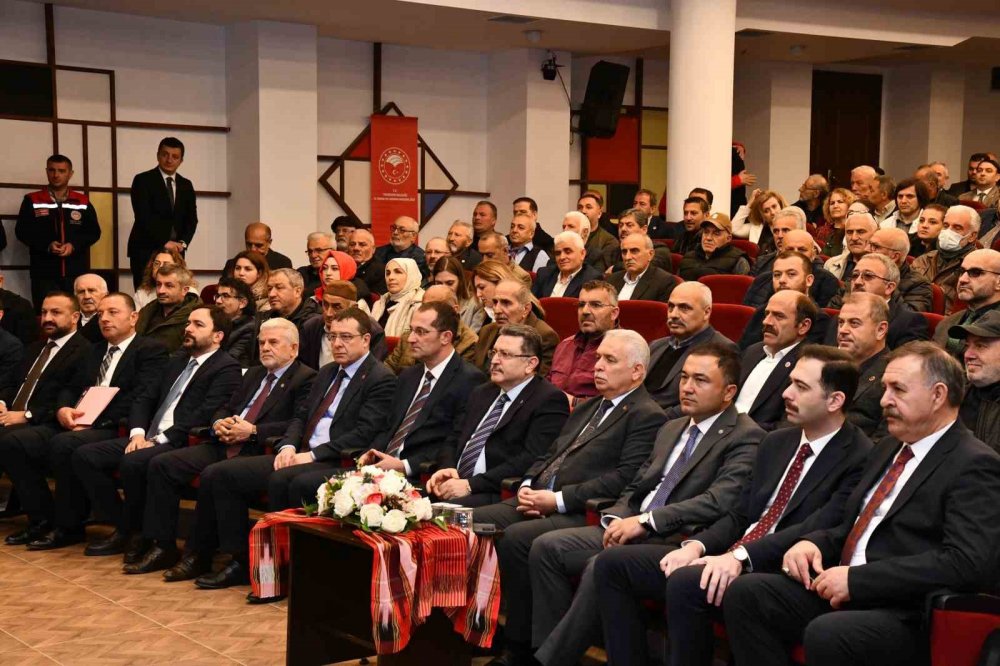 Trabzon’da Kahverengi Kokarca İçin Seferberlik Çağrısı