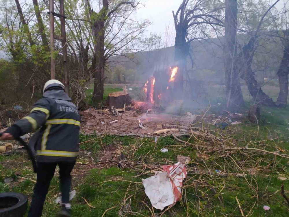 Bayburt’ta Yıldırım Düşen Ağaç İkiye Bölündü