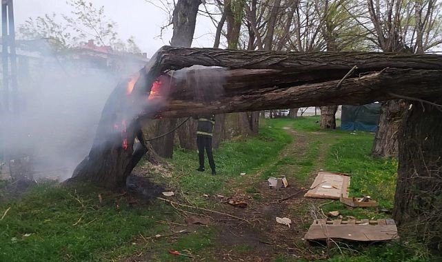 Bayburt’ta Yıldırım Düşen Ağaç İkiye Bölündü