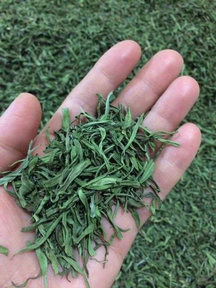 Bayburt Tarhununa Tescilli Coğrafi İşaret Belgesi Verildi