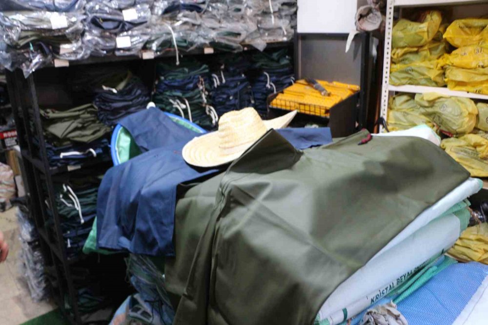 Çay Üreticileri Sezona Hazır: Gözler Açıklanacak Yaş Çay Fiyatında