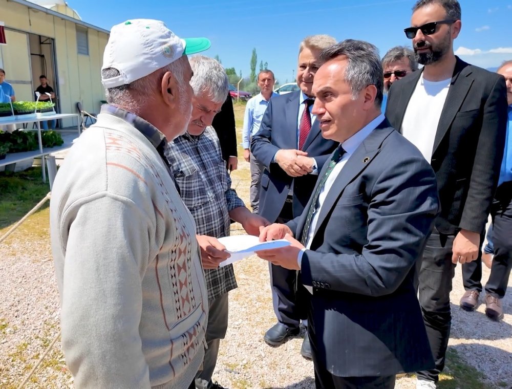 Togü 1 Milyon Fideyi Üreticiyle Buluşturacak