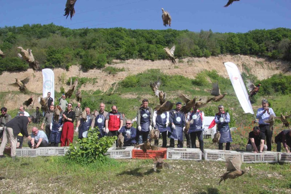 Ordu’da Kokarcaya Karşı Sülün