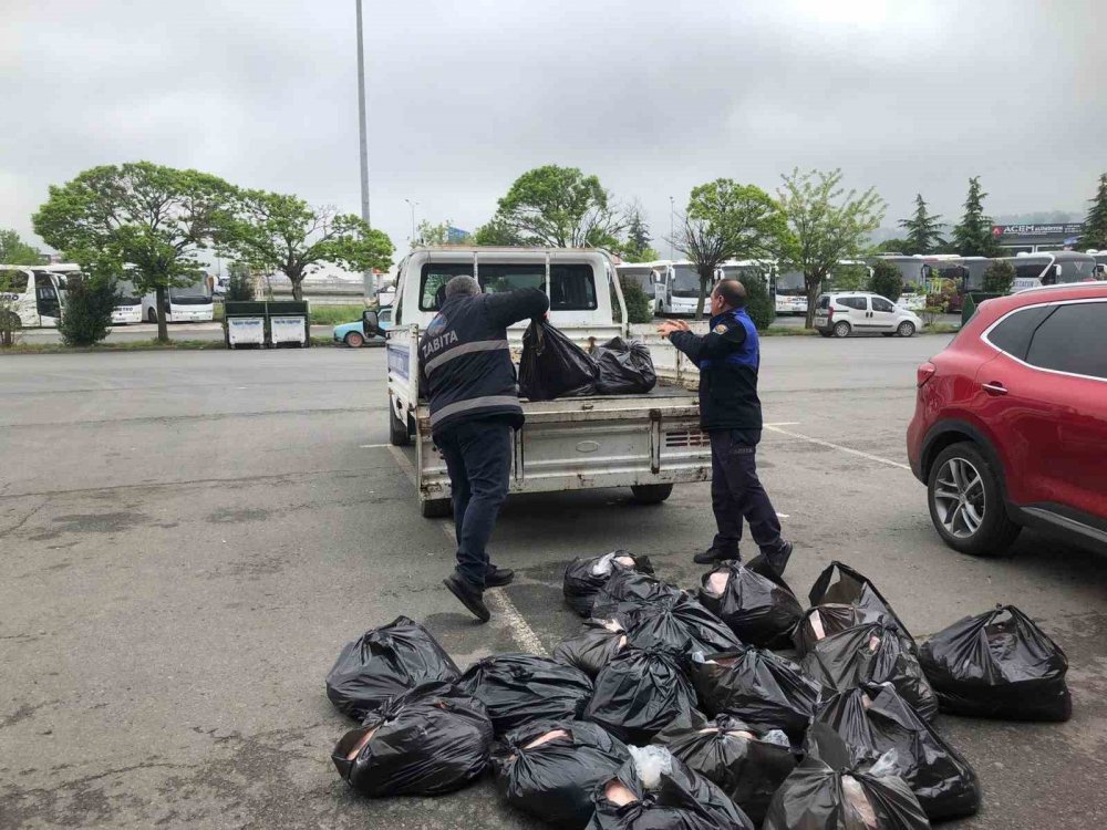 Samsun’da Uygunsuz Şartlarda Taşınan 500 Kilo İç Yağına El Konuldu
