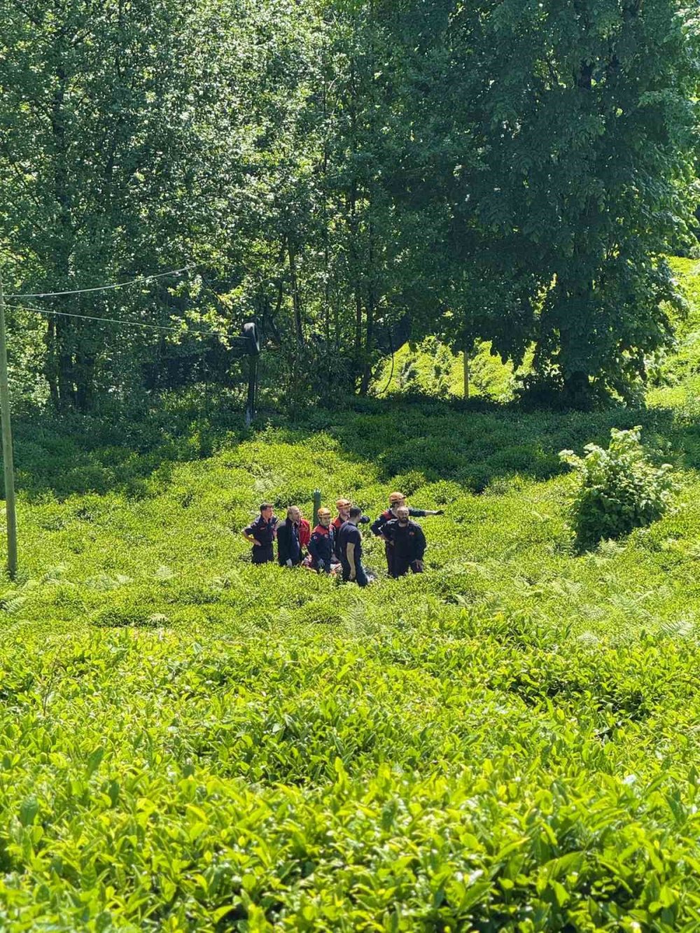 Rize'de Çay Bahçesinde Yaralanan Şahıs AFAD Ekiplerince Kurtarıldı