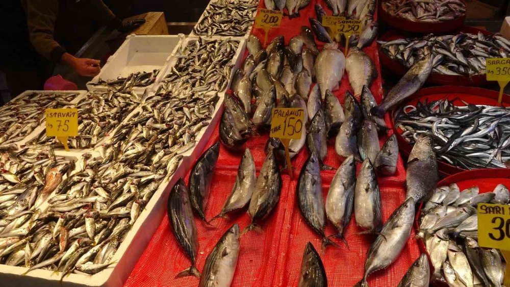 Karadeniz’de Balık Stokları Azalıyor