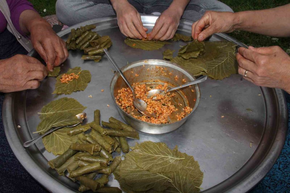 Önce Sarması Yapıldı Şimdi De Kansere Umut Oldu