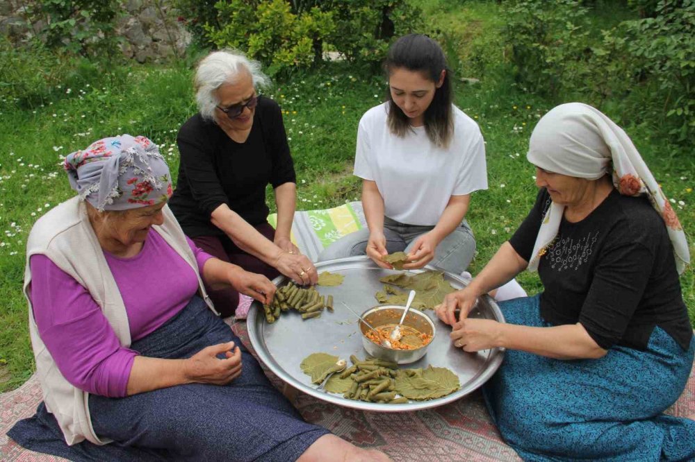 Önce Sarması Yapıldı Şimdi De Kansere Umut Oldu
