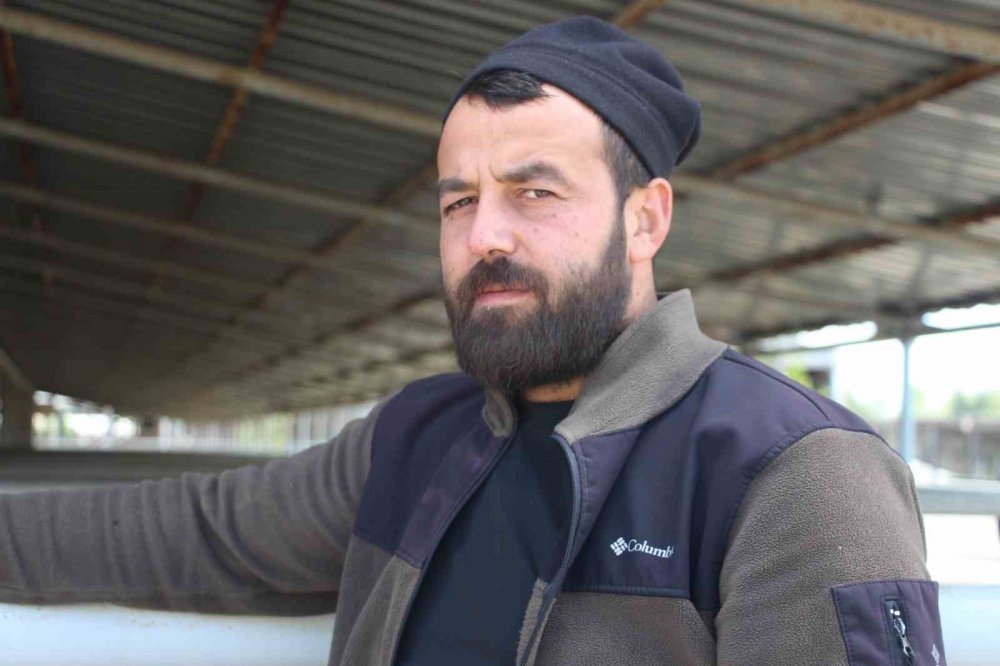 Bayrama Günler Kala Hayvan Pazarında Sessizlik: "alıcı Da Satıcı Da Kararsız"