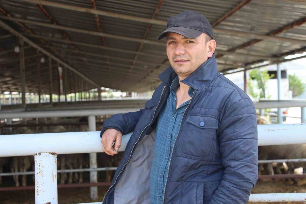 Bayrama Günler Kala Hayvan Pazarında Sessizlik: "alıcı Da Satıcı Da Kararsız"