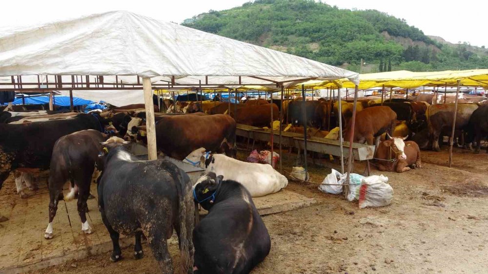 Kol Kıran Pazarlık