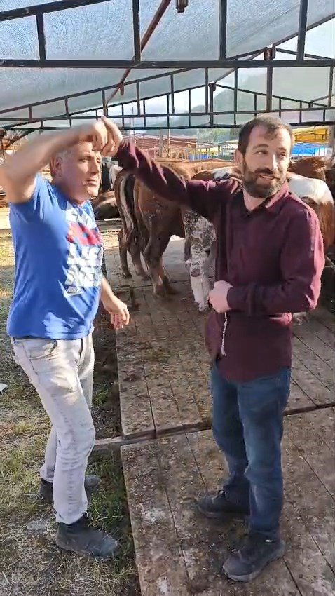 Kol Kıran Pazarlık