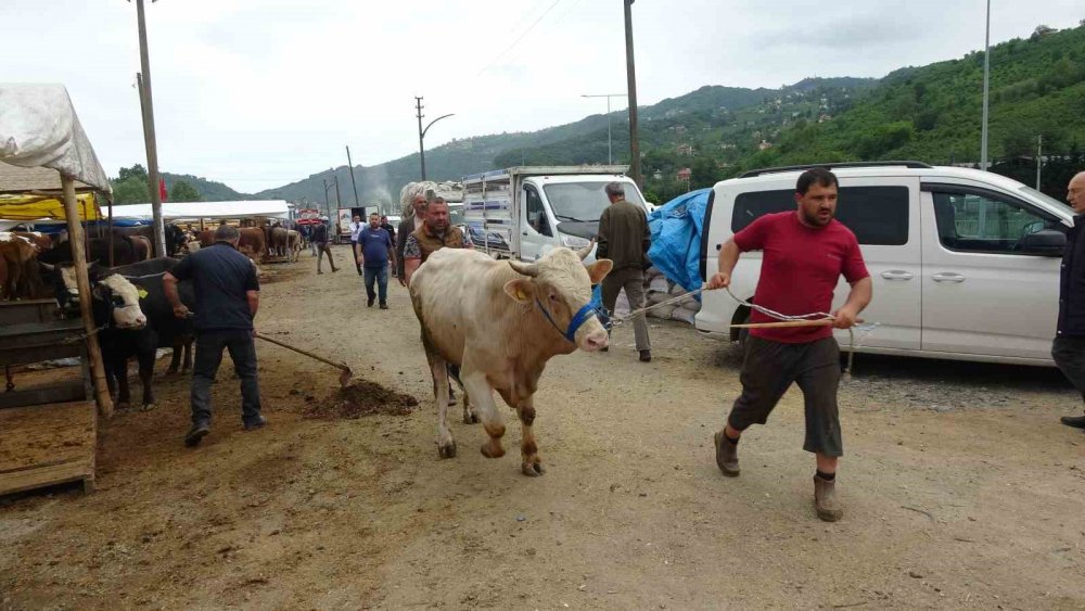 Kol Kıran Pazarlık