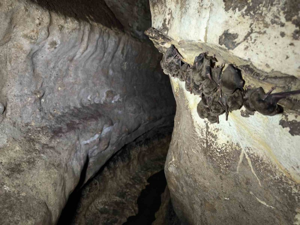 Ordu’da Turizme Yeni Nefes: Yazkonağı Mağarası Gün Yüzüne Çıkıyor