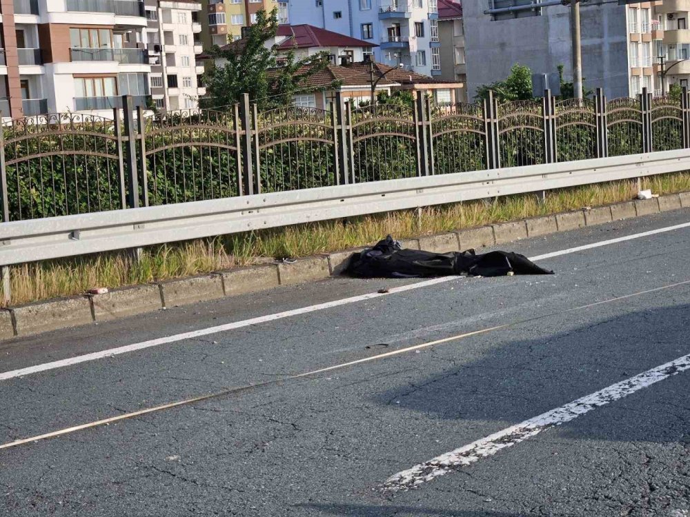 Rize'deki Kazanın Nedeni Arı Paniki: 2 Kardeş Hayatını Kaybetti