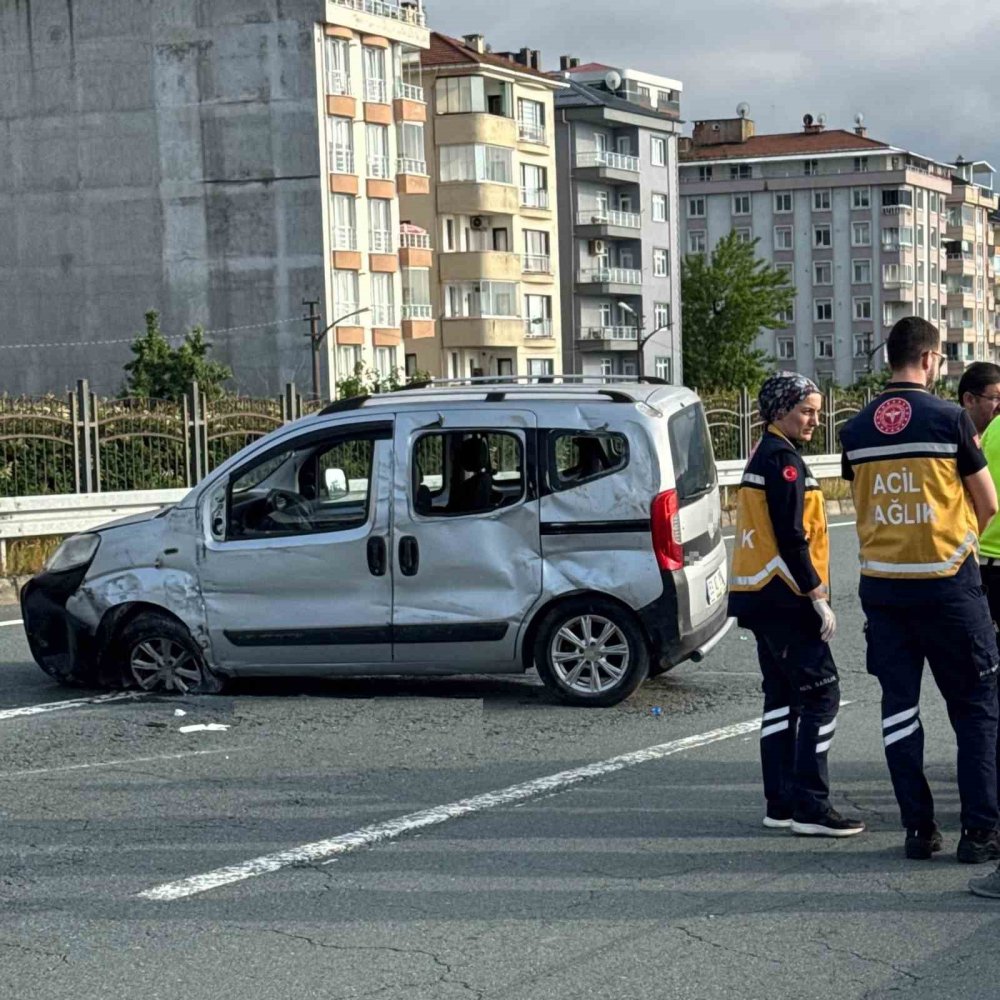 Rize'deki Kazanın Nedeni Arı Paniki: 2 Kardeş Hayatını Kaybetti