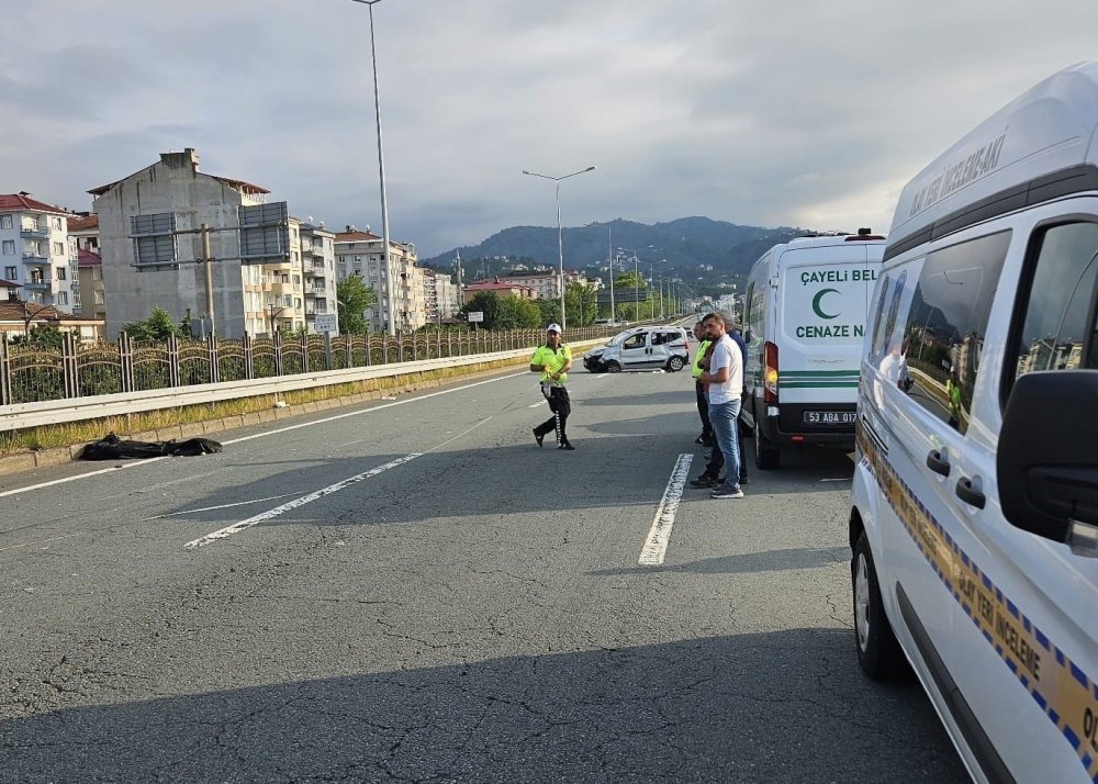 Rize'deki Kazanın Nedeni Arı Paniki: 2 Kardeş Hayatını Kaybetti