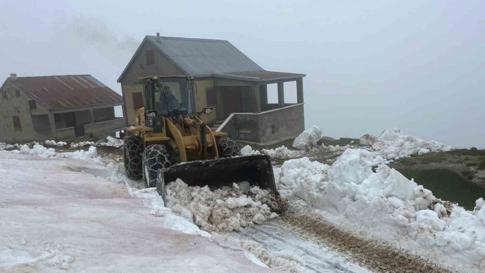 Rize'nin Yüksek Kesimlerinde Yaz Ortasında Kar Temizliği Sürüyor