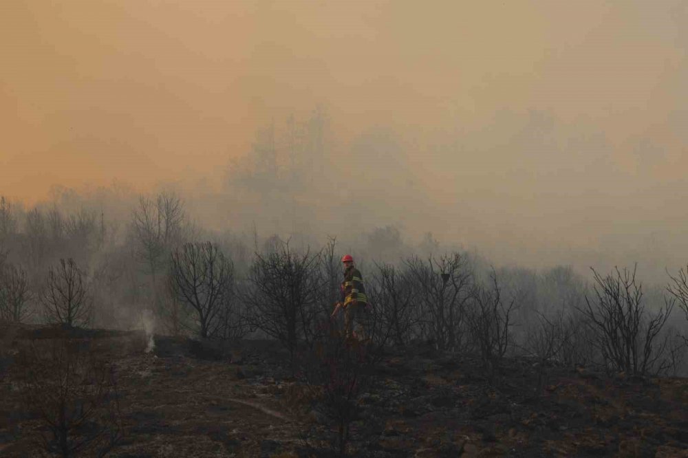 İtfaiyeden Vatandaşlara Orman Yangını Uyarısı
