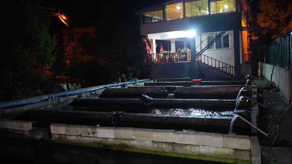 Bağbaşı Mahallesi’ndeki Tesiste Binlerce Yavru Alabalık Öldü