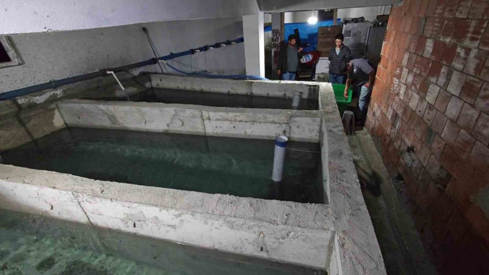 Bağbaşı Mahallesi’ndeki Tesiste Binlerce Yavru Alabalık Öldü