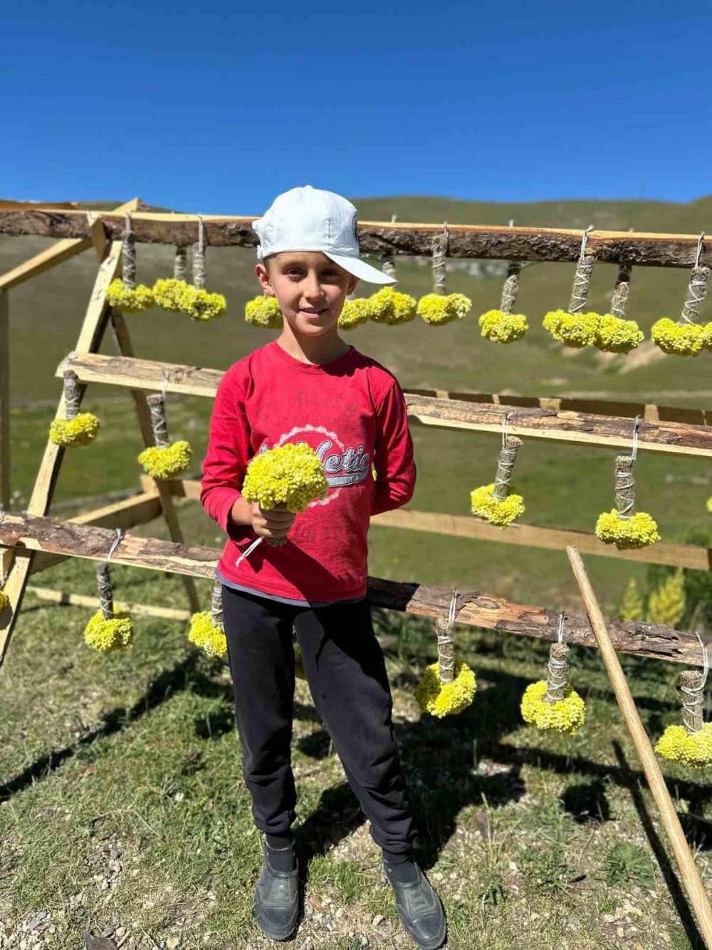 Yaylada Çiçek Satarak Harçlıklarını Kazanıyorlar