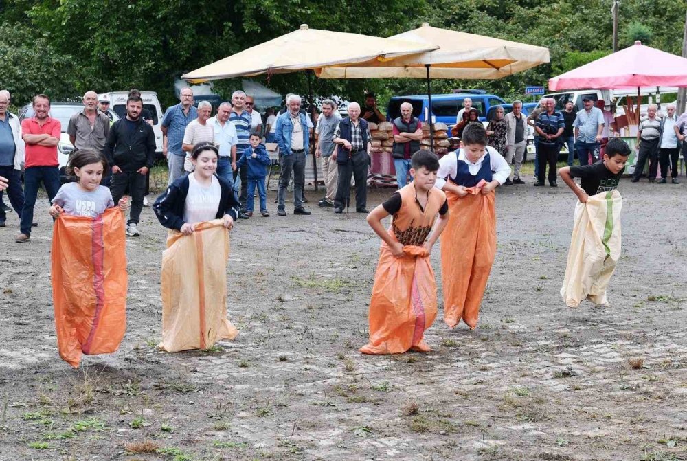 13. Giresun Çömlekçi Deresi Fındık Festivali Gerçekleştirildi