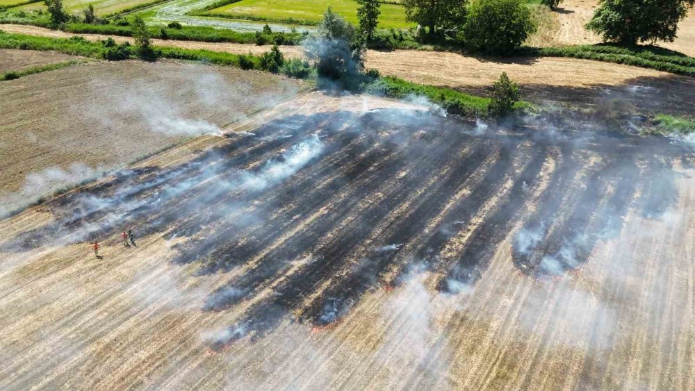 Sinop’ta Anız Yangını Paniğe Neden Oldu