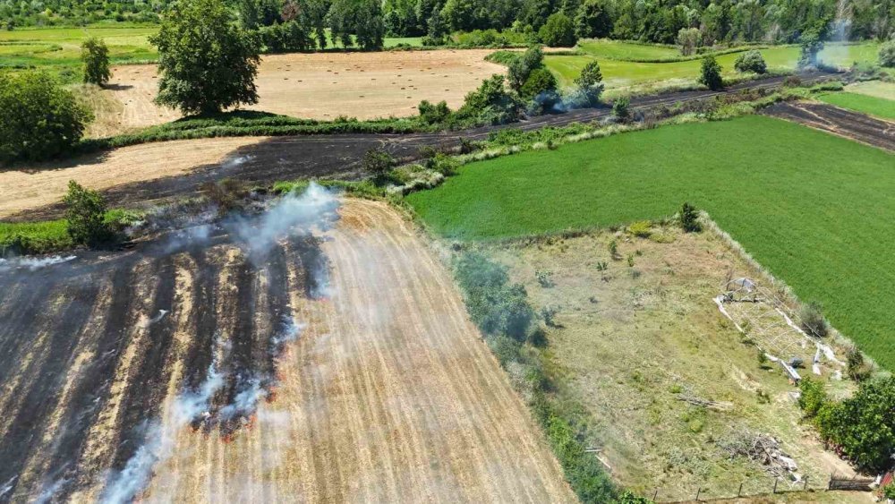 Sinop’ta Anız Yangını Paniğe Neden Oldu