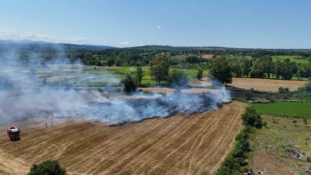 Sinop’ta Anız Yangını Paniğe Neden Oldu